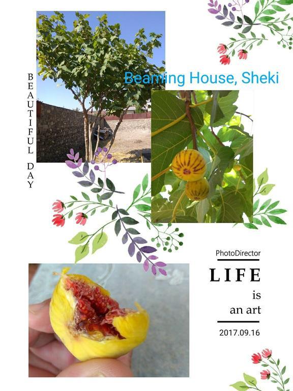 Hotel Beaming_House à Şǝki Extérieur photo
